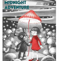 Teddy's Midnight Adventure